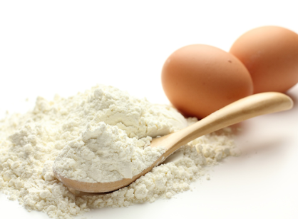 Yumurta Akı Tozu (Albumin)