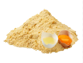 Bütün Yumurta Tozu