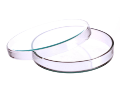 PETRİ KUTUSU CAM 75x15 MM