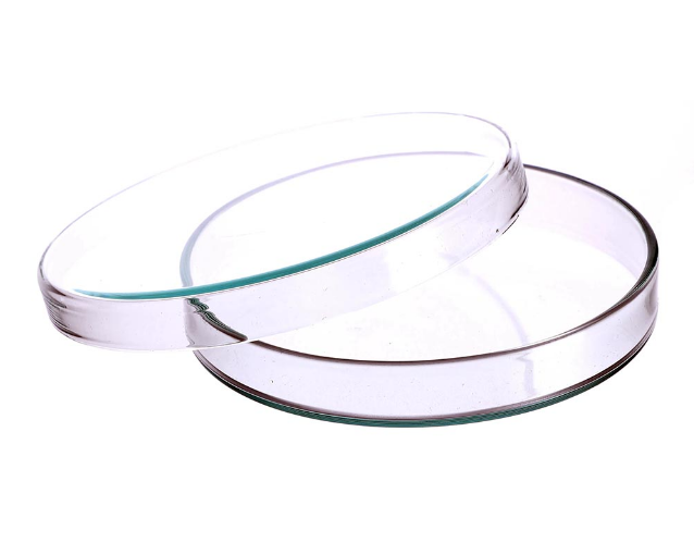 PETRİ KUTUSU - CAM 150X25 MM