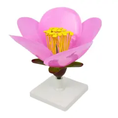 ŞEFTALİ ÇİÇEĞİ