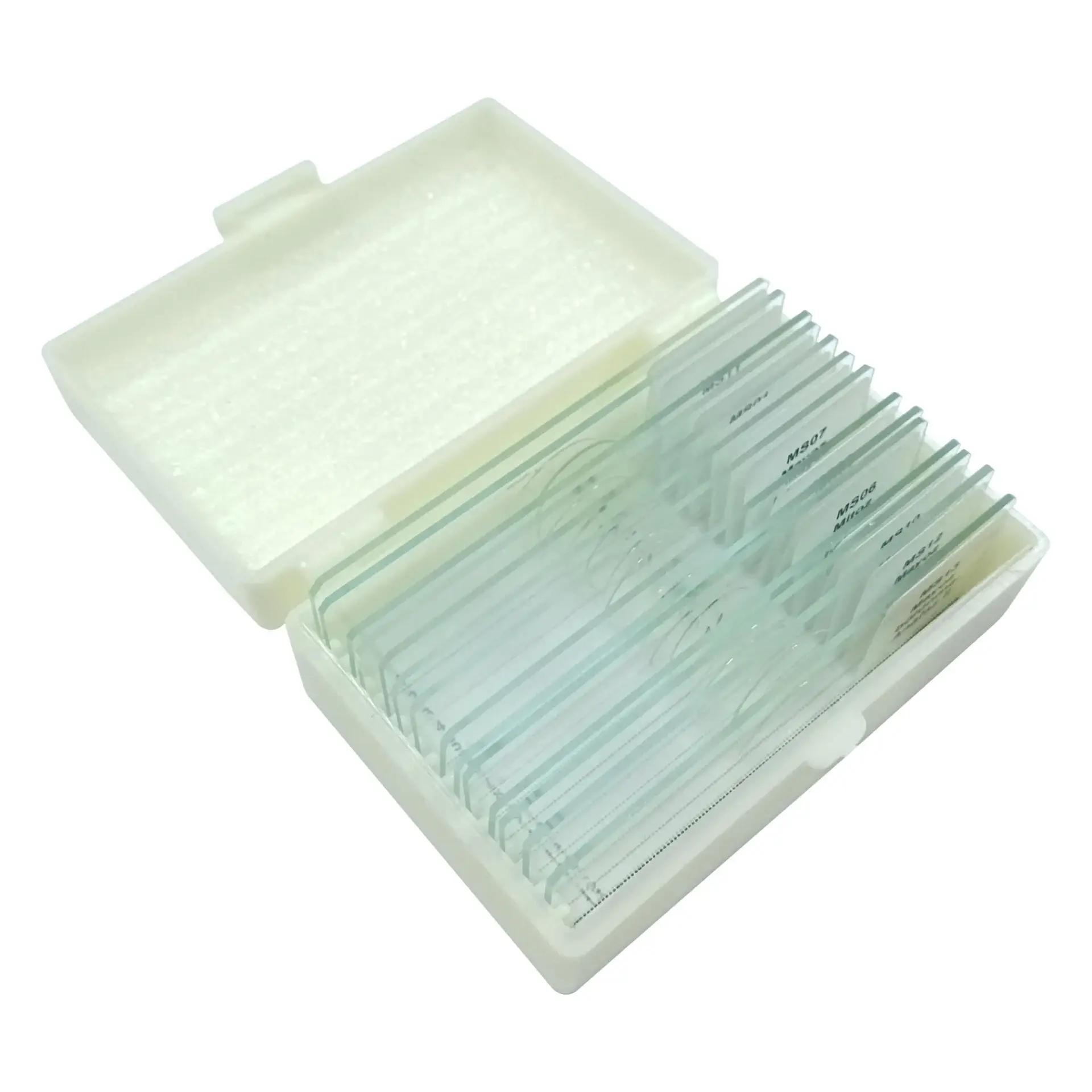 MAYOZ MİTOZ PREPARATLARI