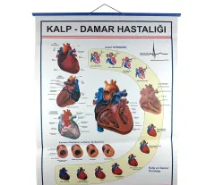 KALP VE DAMAR HASTALIKLARI LEVHASI