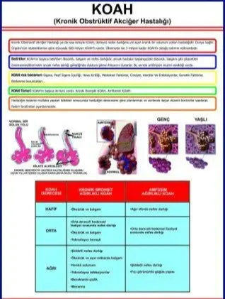 Koah Eğitim Plakası