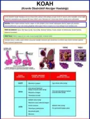 Koah Eğitim Plakası