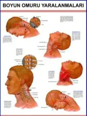 Baş Ve Boyun Yaralanmaları Eğitim Plakası
