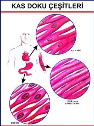 Kas Doku Eğitim Plakası