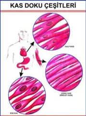 Kas Doku Eğitim Plakası
