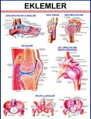 EKLEM LEVHASI