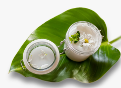 Spearmint Oil (Mentha spicata yağı)