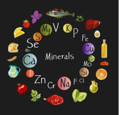 L-Sistein / 100 gr. 1kg, 5kg,10kg/ 25kg  Ambalajlarda