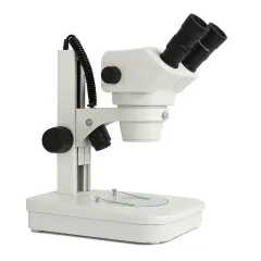 Trinoküler Stereo Mikroskop