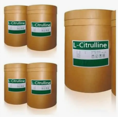L- Citruline Base / 25 kg